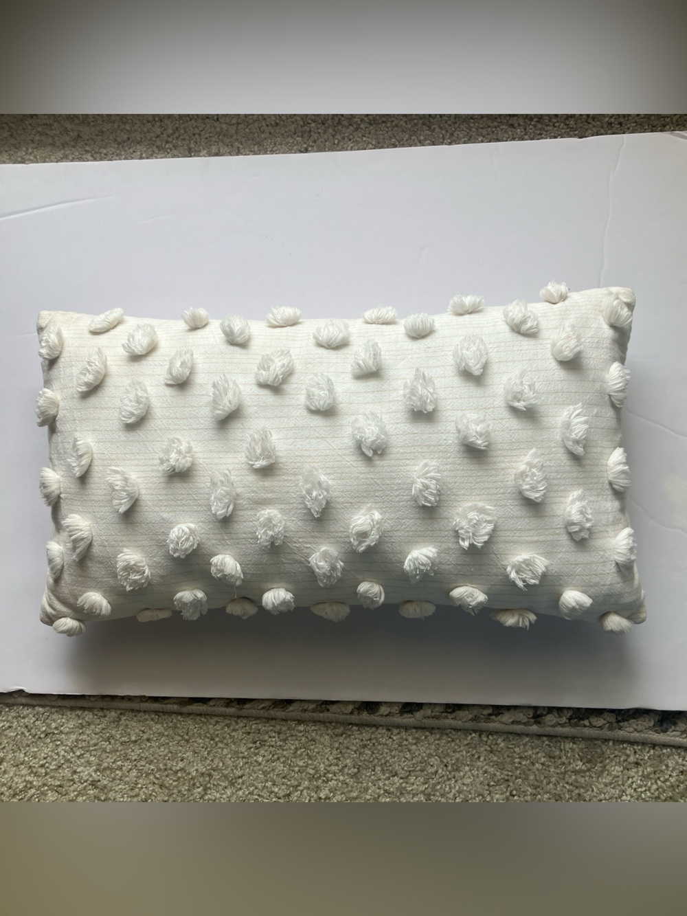 West Elm Ivory Cotton Pom Pillow Cover  + Pillow Insert